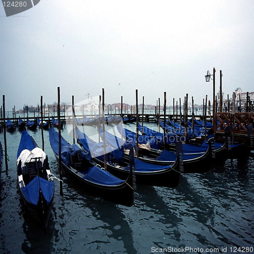 Image of VENICE IN NOVEMBER