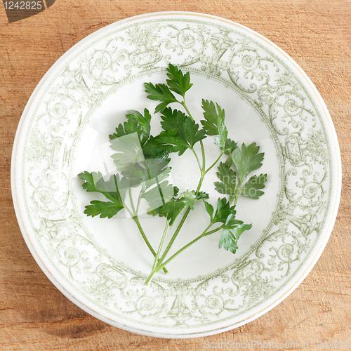 Image of Parsley