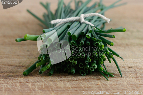 Image of Chives