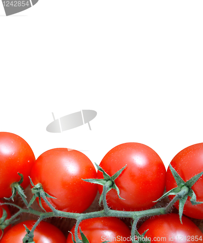 Image of Tomatoes