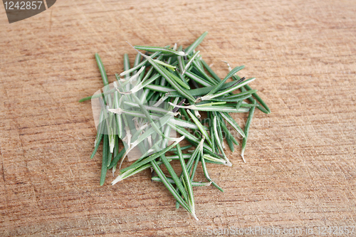 Image of Rosemary