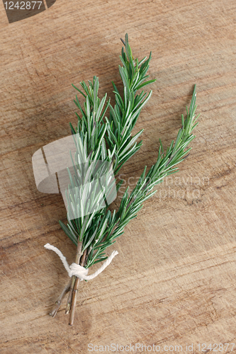 Image of Rosemary