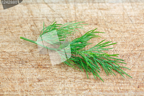 Image of Dill