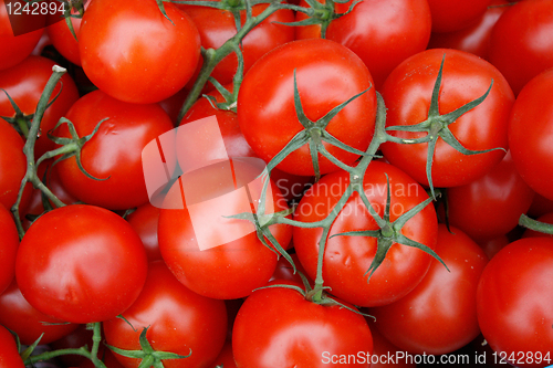 Image of Tomatoes