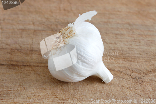 Image of Garlic