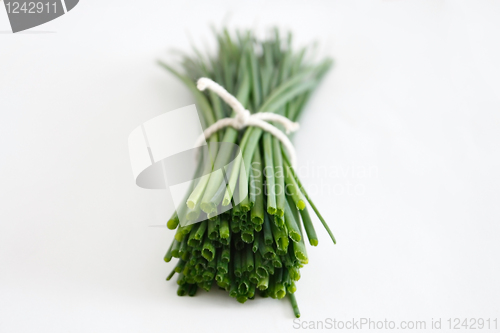 Image of Chives