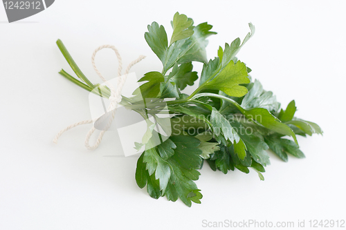 Image of Parsley