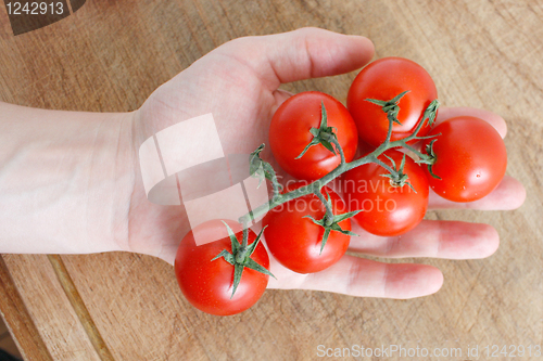 Image of Tomatoes