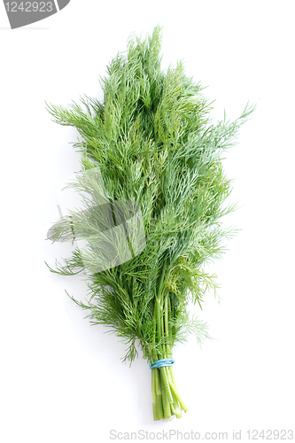 Image of Dill