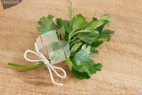 Image of Parsley