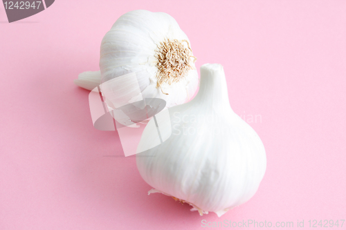 Image of Garlic