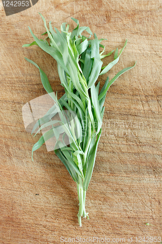 Image of Tarragon