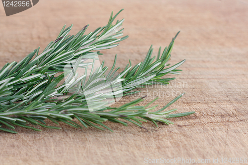 Image of Rosemary