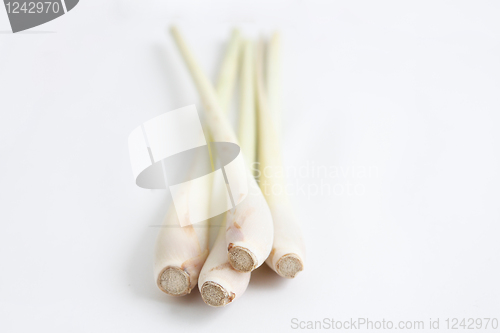 Image of Lemon grass