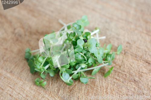 Image of Water cress