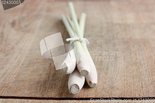 Image of Lemon grass