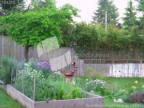 Image of Backyard Garden