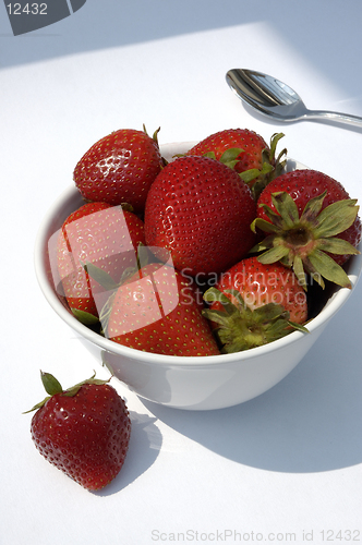 Image of Summer Dessert