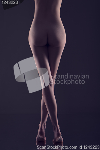 Image of  nude  female body