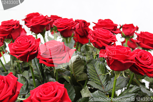 Image of Bouquet of red roses