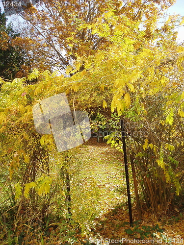 Image of autumn arch 2