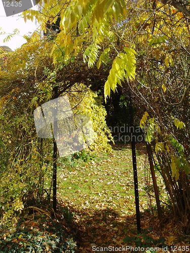 Image of autumn arch 1