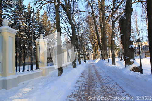 Image of Avenue. A winter landscape