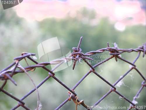 Image of barbed wire