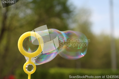 Image of Soap bubbles