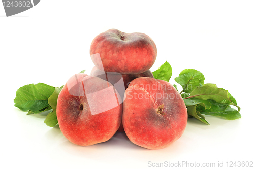 Image of mountain peach 