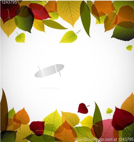 Image of Autumn leafs abstract background