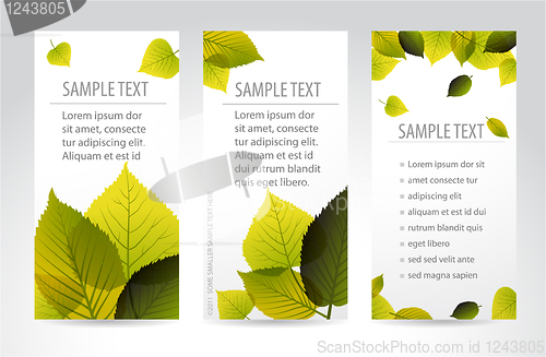 Image of Fresh natural vertical banners with leafs