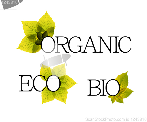 Image of Bio, organic and eco labels with floral elements