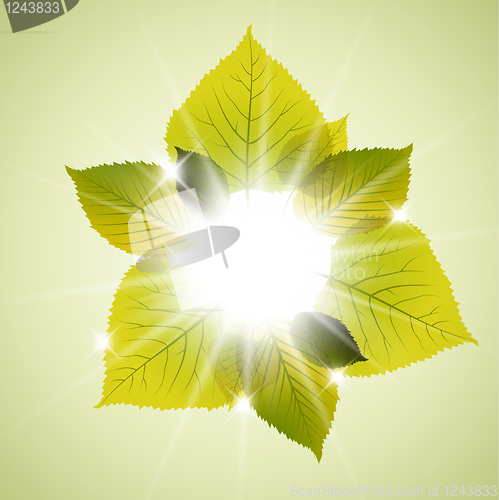 Image of Spring sunny leafs abstract background