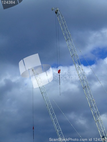 Image of White cranes