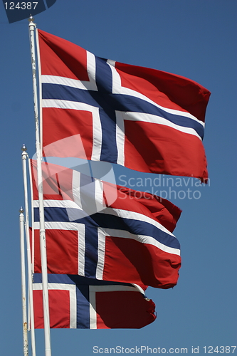 Image of Norwegian flags