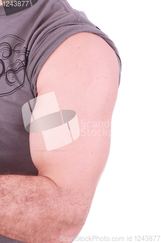 Image of The male arm isolated on white background. 