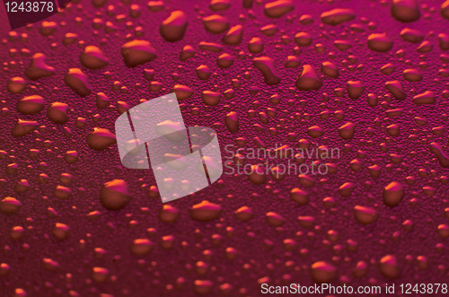 Image of Pink water drops