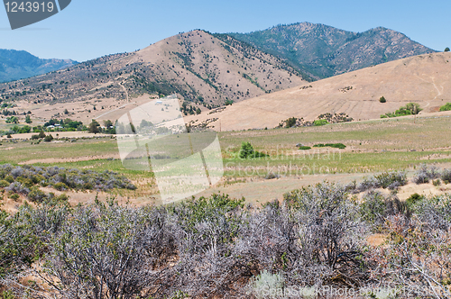 Image of Shasta Valley