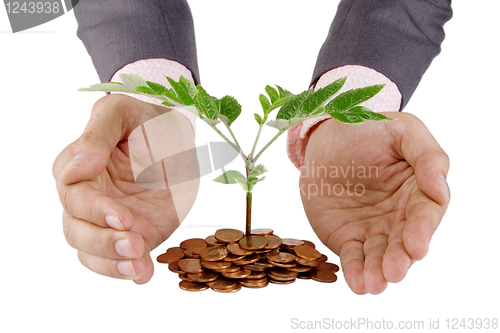 Image of Businessman protecting plant