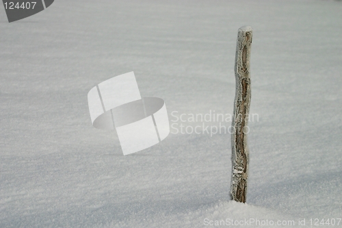 Image of Winter