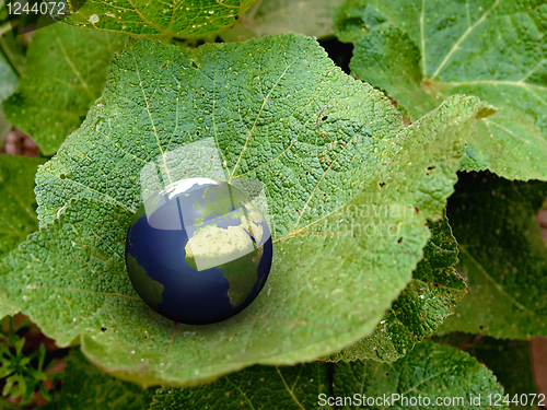 Image of 3d Blue earth on a green leaf