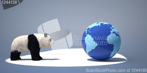 Image of panda and the earth