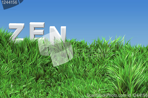 Image of zen logo on a green meadow