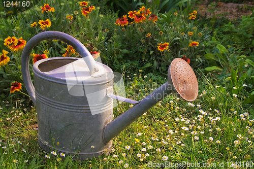 Image of water can in a garden