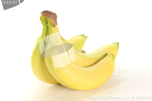 Image of Bananas