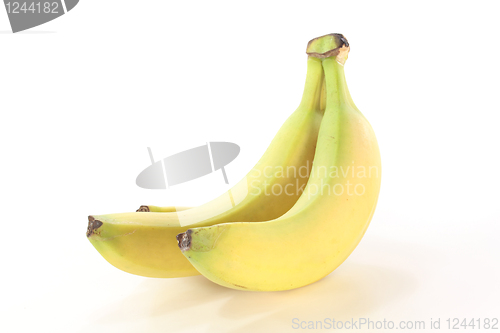 Image of Bananas