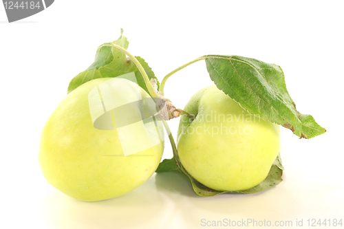 Image of Apples with leaves