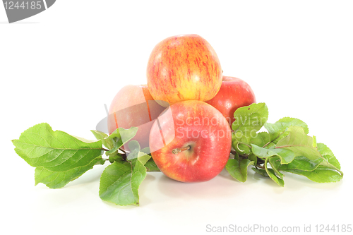 Image of Apples with leaves