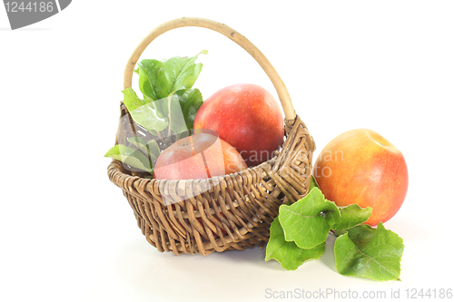 Image of Apples with leaves